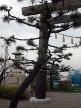 伊勢神宮一の鳥居