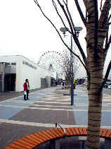 kariya1031s.JPG (23514 �o�C�g)