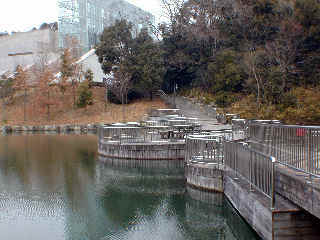 onshi996m.JPG (38473 �o�C�g)