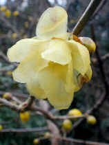 roubai1020s.JPG (18810 �o�C�g)