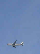 plane1169s.JPG (6529 �o�C�g)