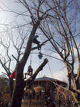 expo652s.JPG (27914 �o�C�g)