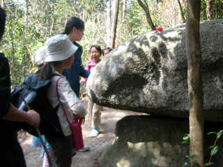 kaeru636m.JPG (38185 �o�C�g)