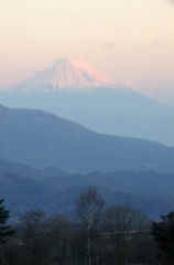 akafuji772s.JPG (8402 �o�C�g)