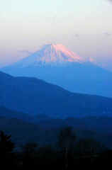 akafuji773s.JPG (9094 �o�C�g)