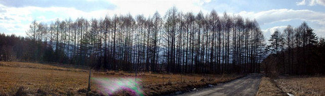 yatsu_p05m.JPG (40258 �o�C�g)