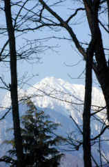 kaikoma864s.JPG (23948 �o�C�g)