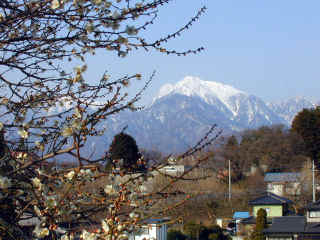 kaikoma880m.JPG (41580 �o�C�g)