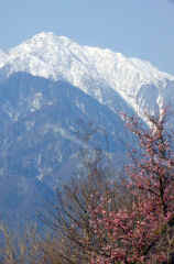 kaikoma886s.JPG (18307 �o�C�g)