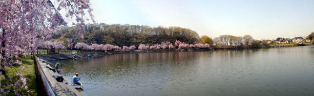 nekogahora_p14m.JPG (31809 �o�C�g)