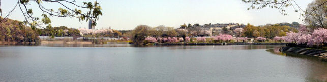 nekogahora_p19m.JPG (25785 �o�C�g)