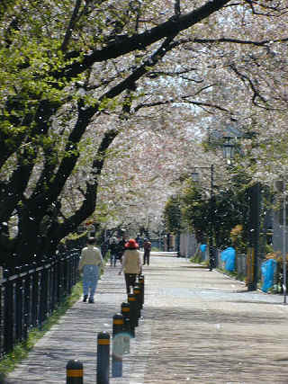 yamazaki313m.JPG (68673 �o�C�g)