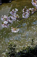 yamazaki327s.JPG (29991 �o�C�g)