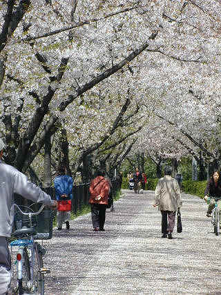 yamazaki348m.JPG (76323 �o�C�g)