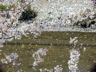 yamazaki355m.JPG (55201 �o�C�g)