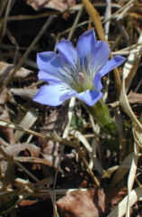 ���Ă�܂��ǂ�