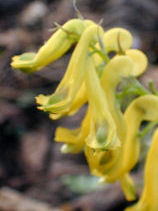 �����܂�