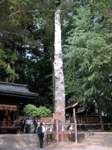 ����΂���