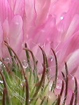 �����߂���