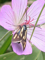 ���̂���