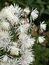 ���݂�����܂�