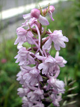 �Ă������ǂ�