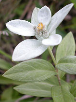 �݂˂����䂫����