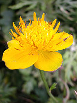 ����΂�����