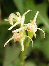 �������肻��