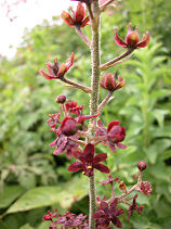 ����낻��