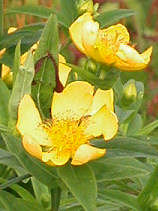 �Ƃ�������