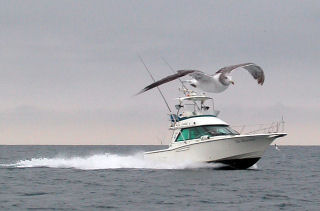 �����߂ƃN���[�U�[�̋���