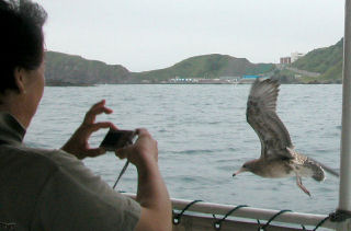 �����߂ƗV��