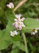 �݂�����