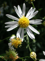 �䂤������