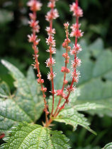 ������������