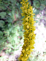 ����݂��Ђ�