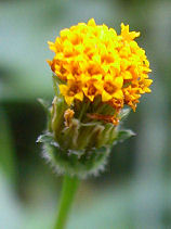 �����񂾂񂮂�