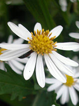 �����܂���