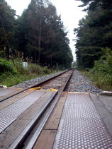 ���C���̓��ݐ؂�