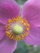 ���イ�߂�����