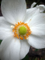 ���イ�߂�����