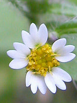 �͂����߂���