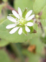 �����͂���