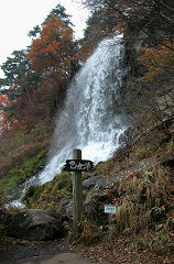 ������@�}�C�i�X�C�I���@20000�^cc