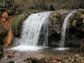 ���~�̑�@�}�C�i�X�C�I���@15000�^cc