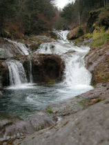 �����ǂ�B���̑�@�}�C�i�X�C�I��15000�^cc