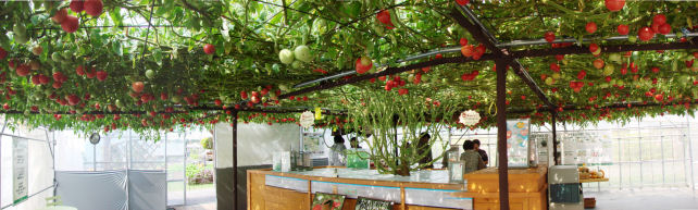 P{̃g}g̖؂ɂPȏ̎AN͂QڎwĂƂ̂