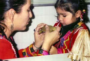 031h.jpg (19389 �o�C�g)