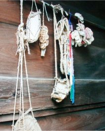 kasadera01s.jpg (17929 �o�C�g)